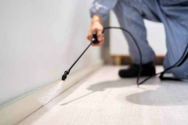 Licensed Termite Control service in Willimantic, CT - Show Me Pest Control